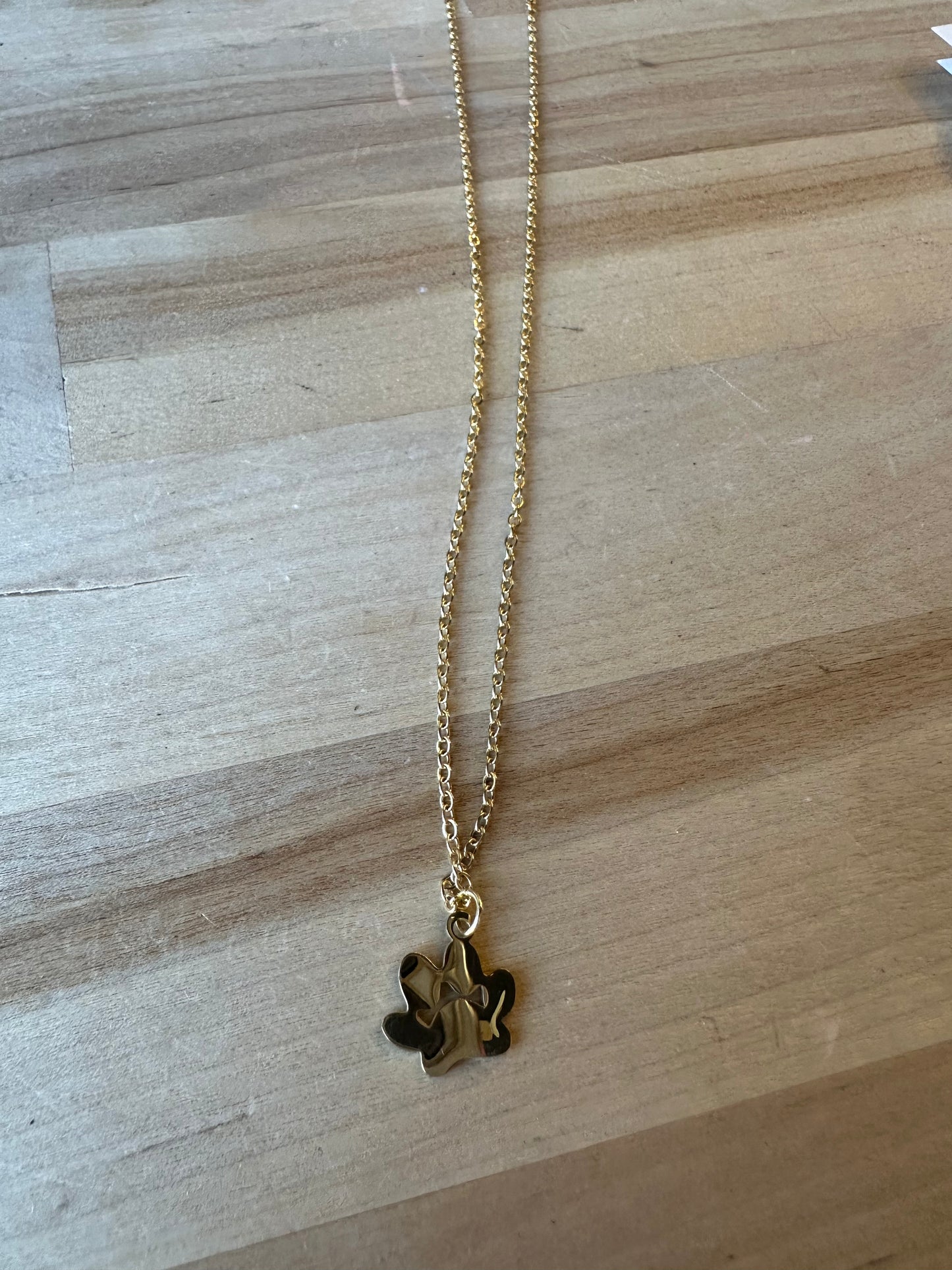 Paws of Love Necklace