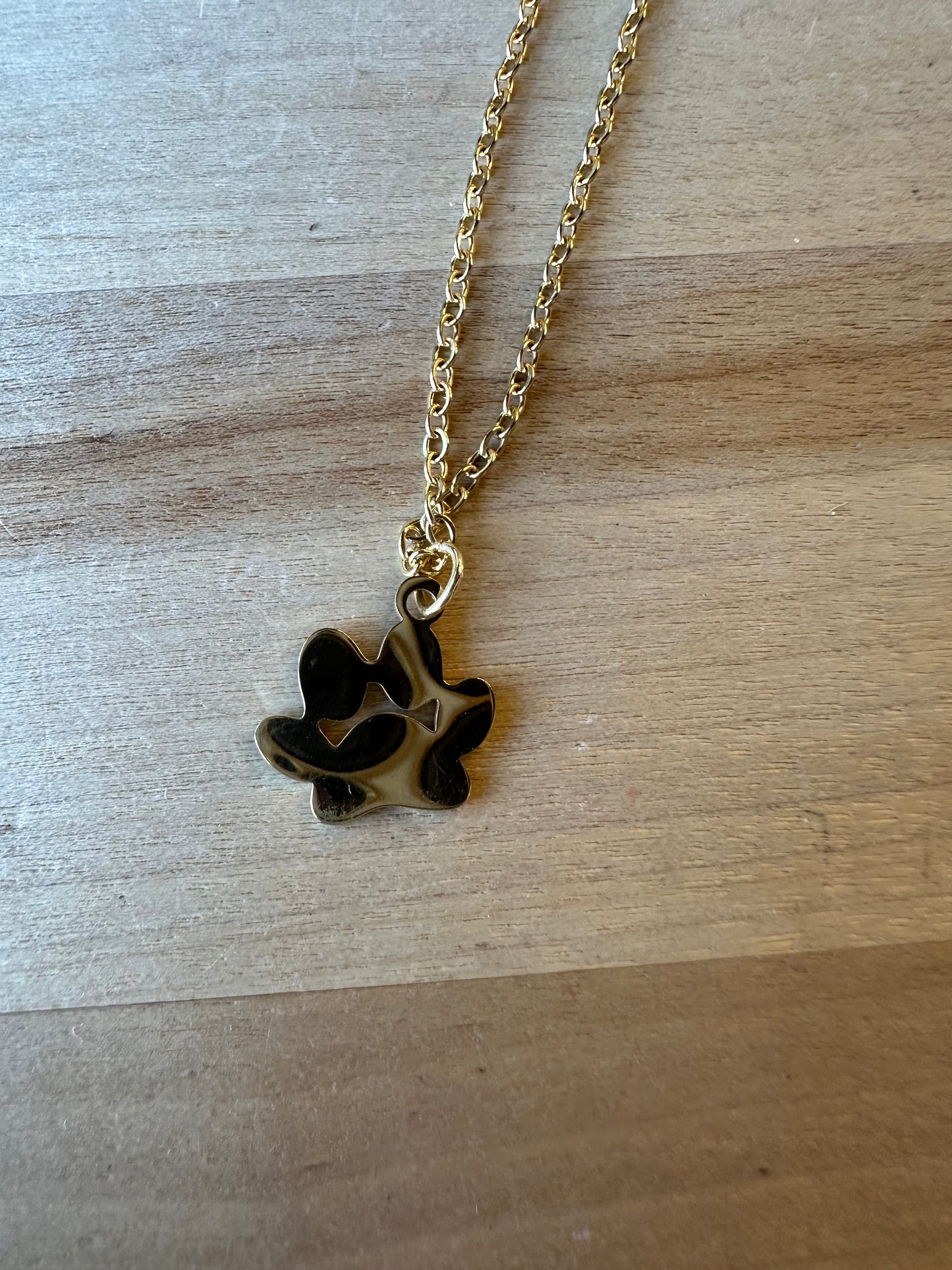 Paws of Love Necklace